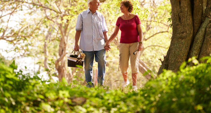Senior Man Woman Old Couple Doing Picnic